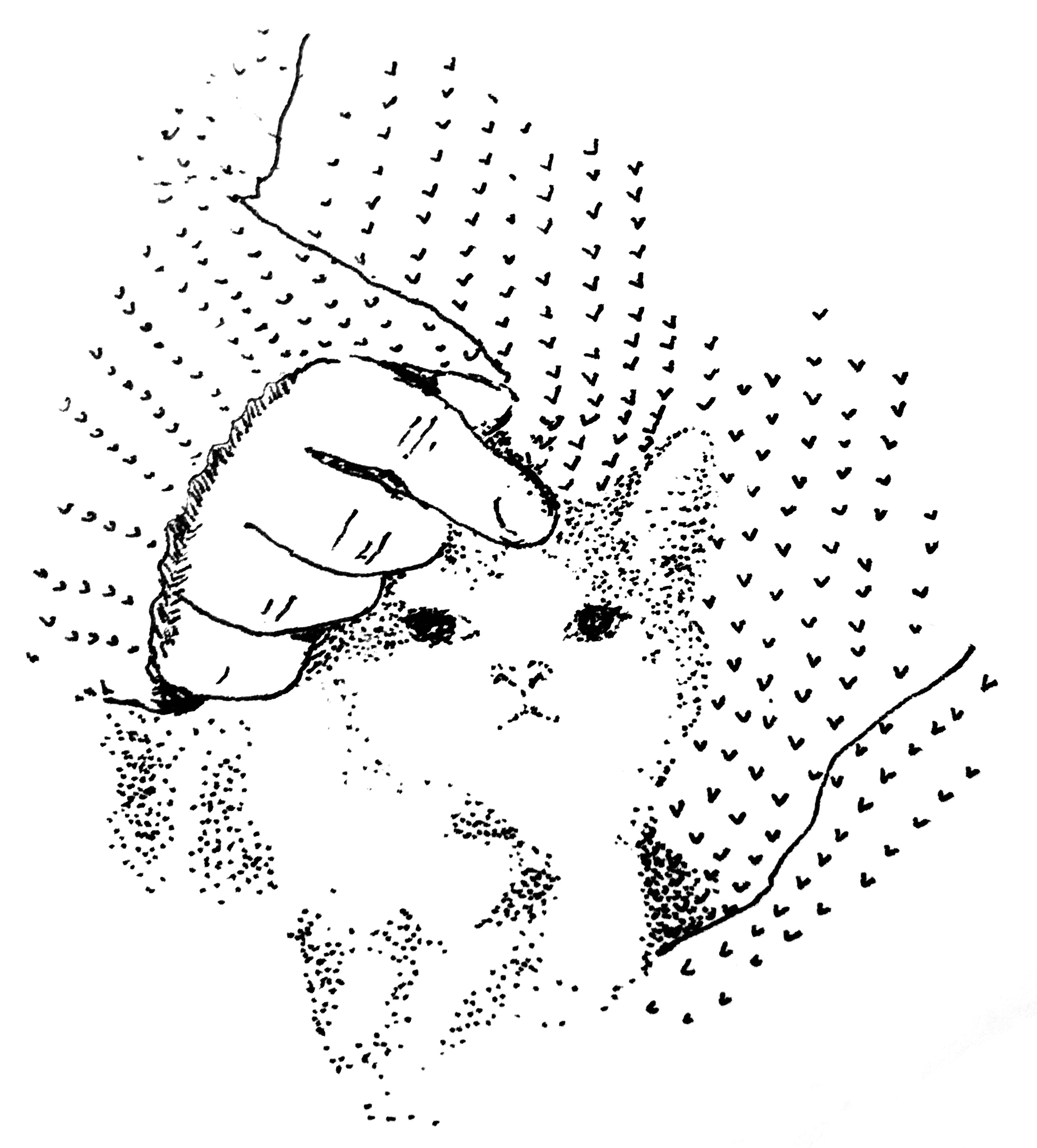 Kitten cuddles illustration Eliza Brown elizadrawstheline elizalucescu