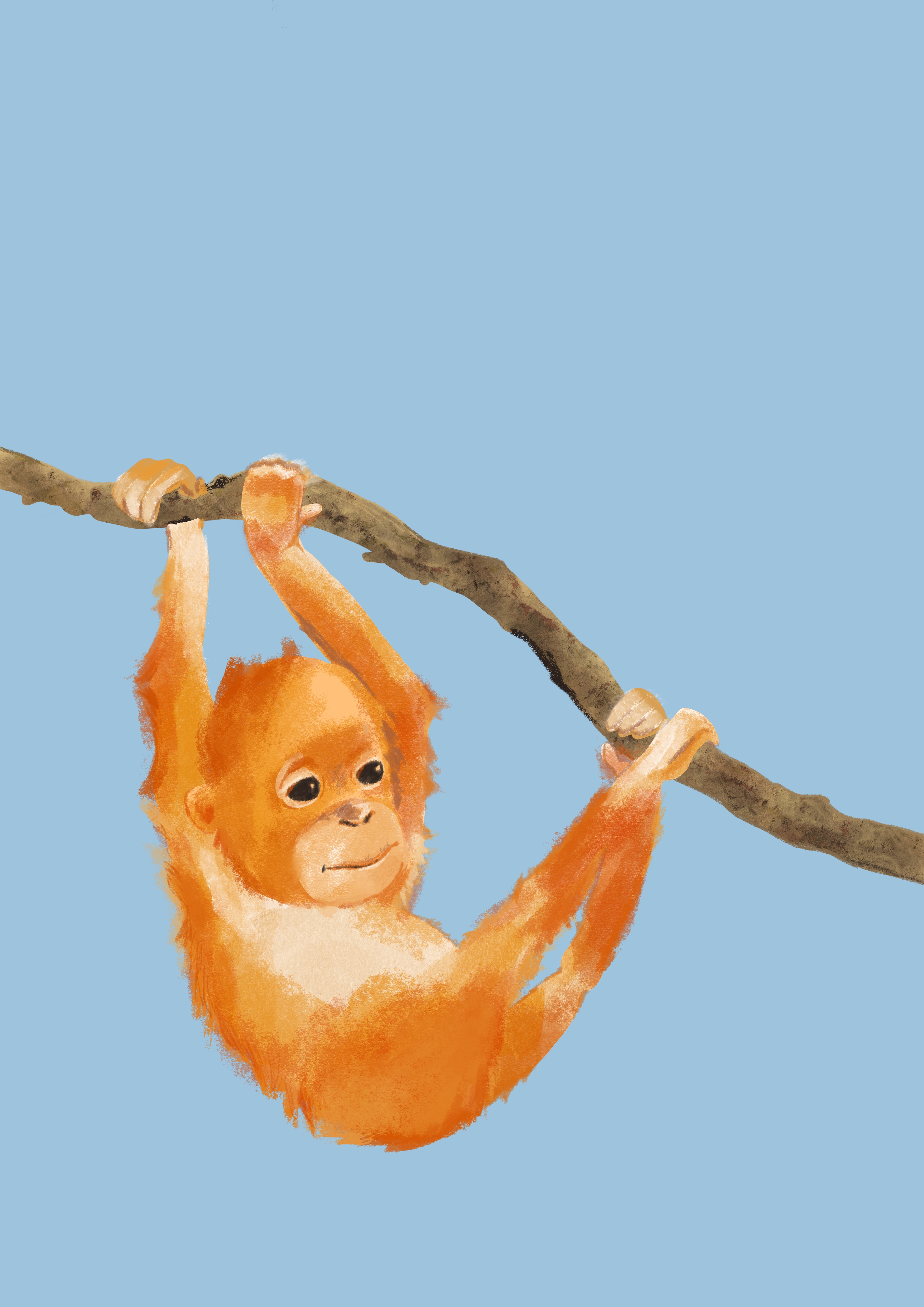 baby-orangutan-swinging-from-a-tree-eliza-brown-elizadrawstheline