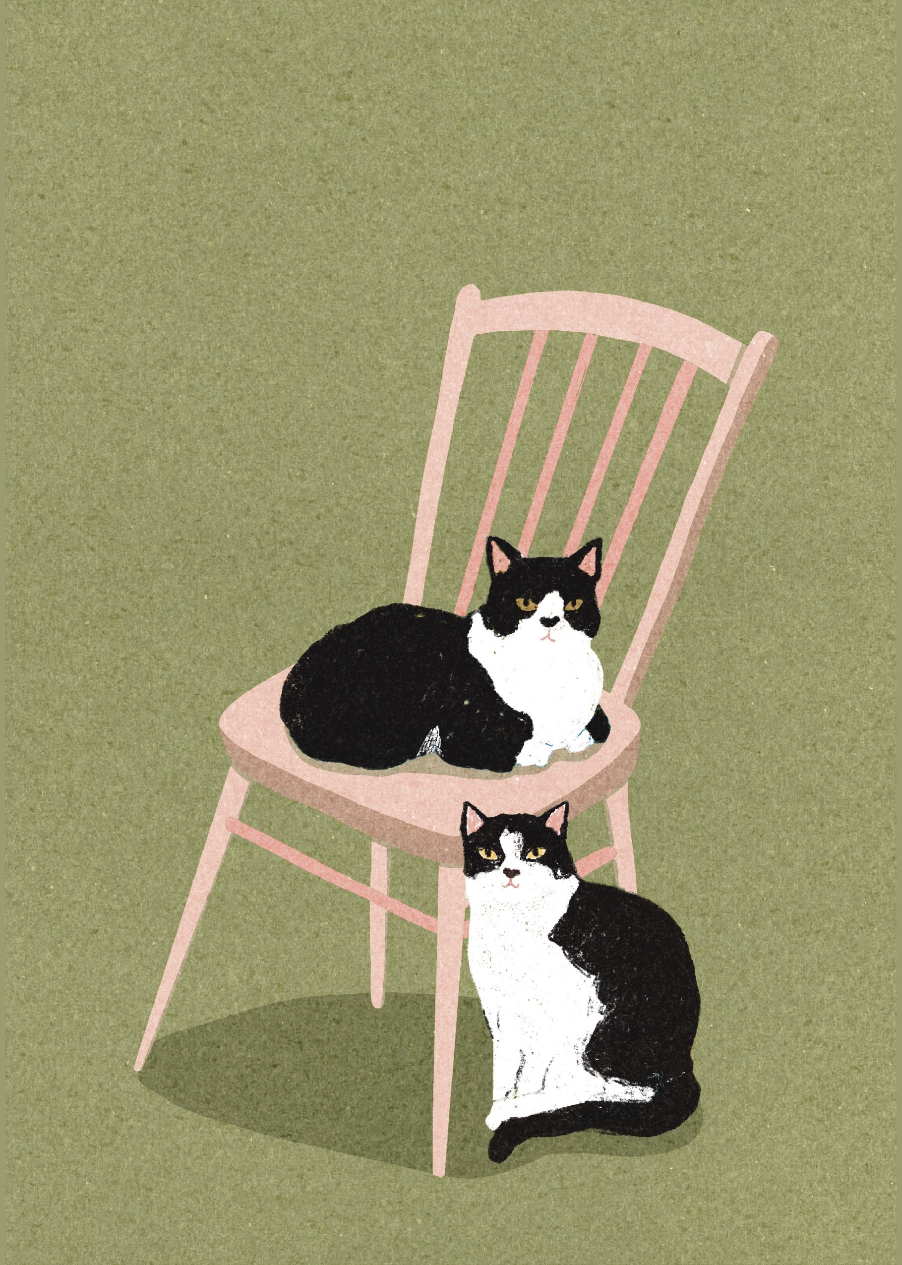 cats-ercol-chair-illustration-elizadrawstheline-eliza-brown-illustration